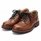 Pair of brown leather shoes with black laces on a white background